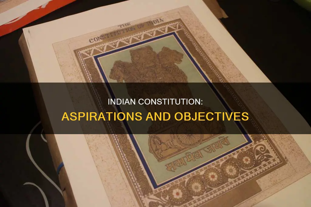 what are the goals of indian constitution