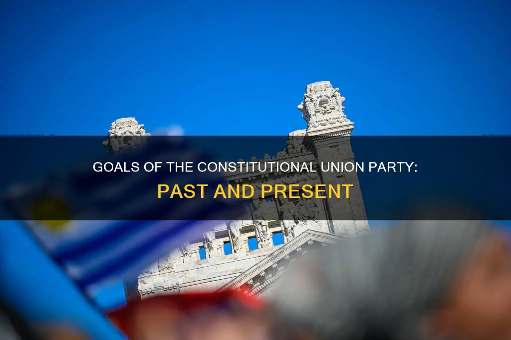 what are the goals of the constitutional union party