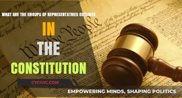 Constitution's Representative Groups: Who Are They?