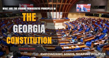Georgia Constitution: Democracy's Guiding Principles