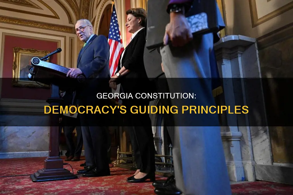 what are the guiding democratic principles in the georgia constitution