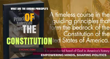 Constitution's Core Principles: A Foundation for Governance