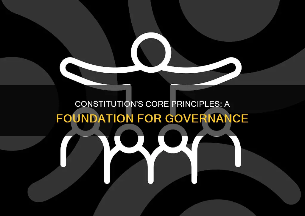 what are the guiding principle