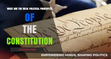 The Constitution's Political Principles: An Ideal Guide