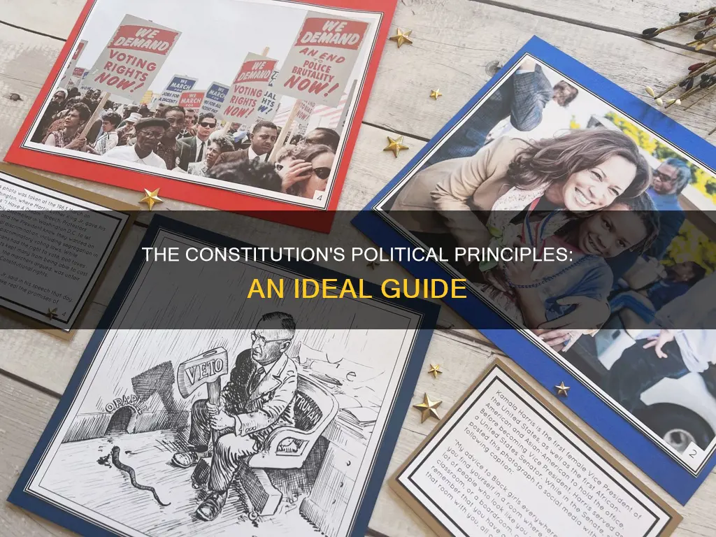 what are the ideal political principles of the constitution