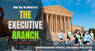 Executive Power: Impacts and Influence on Our Lives