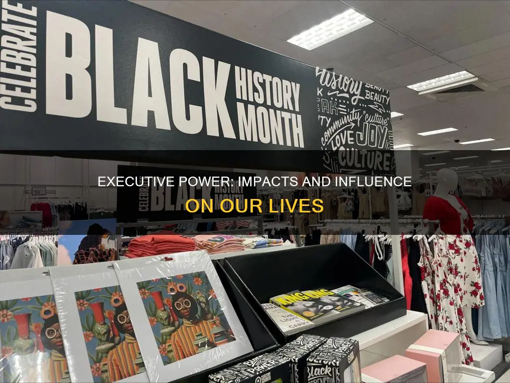 what are the impacts of the executive branch