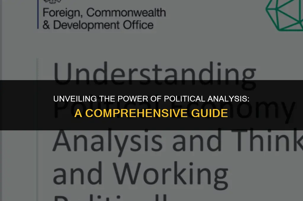 what are the importance of political analysis