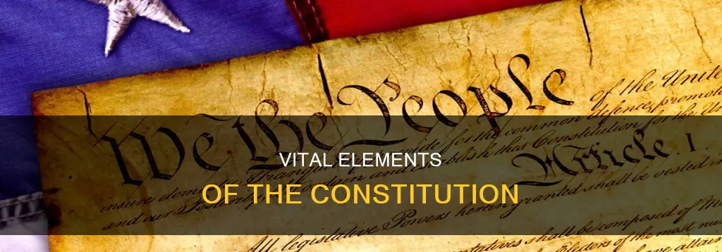 what are the important elements of the constitution