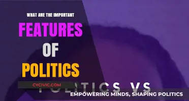 Exploring the Key Features of Politics: A Comprehensive Guide
