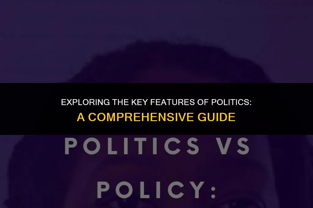 what are the important features of politics