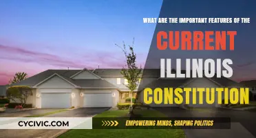 Key Features of Illinois' Constitution