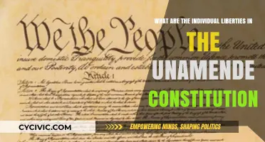 The Constitution's Individual Freedoms: Unamended