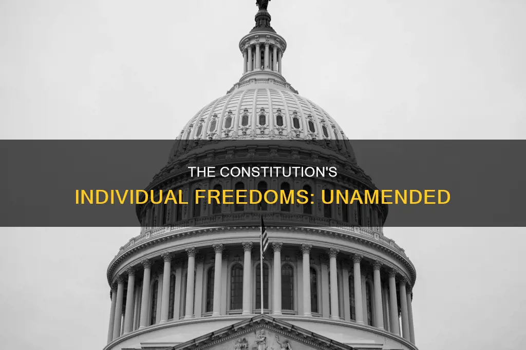 what are the individual liberties in the unamended constitution