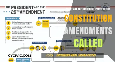 Understanding the Constitutional Amendments: Individual Components