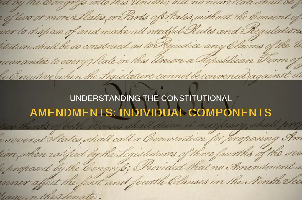 what are the individual parts of the constitutional amendments called