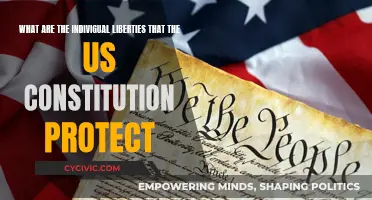 The US Constitution: Protecting Individual Liberties and Freedoms