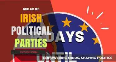 Exploring Ireland's Political Landscape: A Guide to Major Parties
