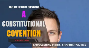 Exploring Constitutional Convention Issues