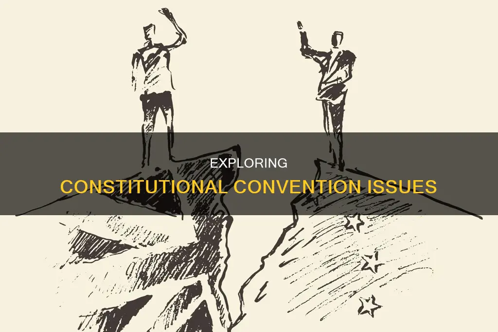 what are the issues for wanting a constitutional covention