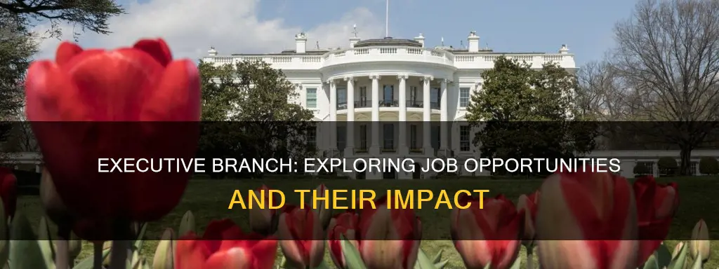 what are the jobs for the executive branch