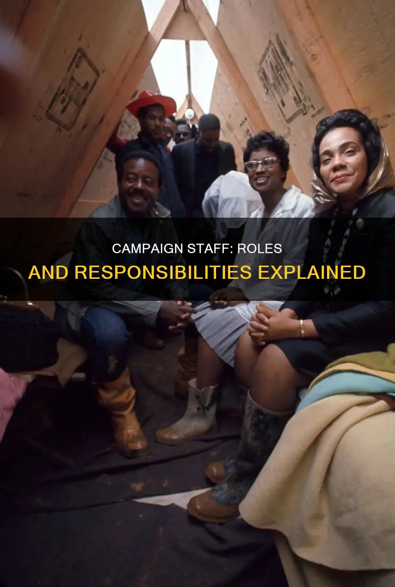 what are the jobs in a political campaign