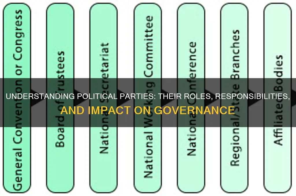 what are the jobs of political parties