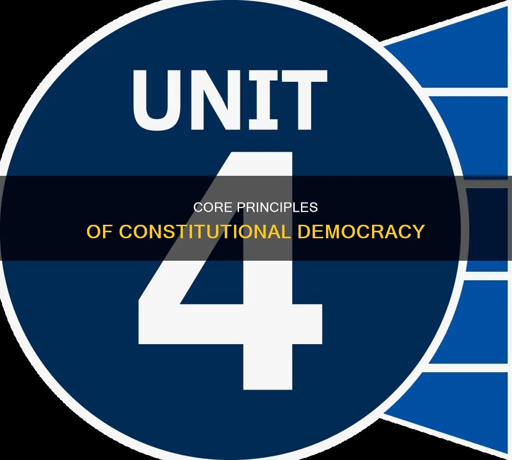 what are the key concepts of constitutional democracy
