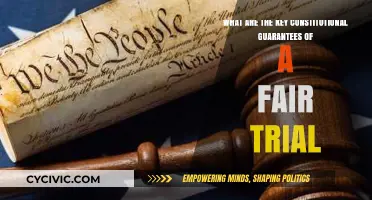 The Right to a Fair Trial: Constitutional Safeguards
