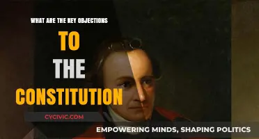 Key Objections to the Constitution: Addressing Concerns