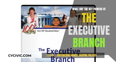Executive Branch Powers: Key Abilities and Their Limits
