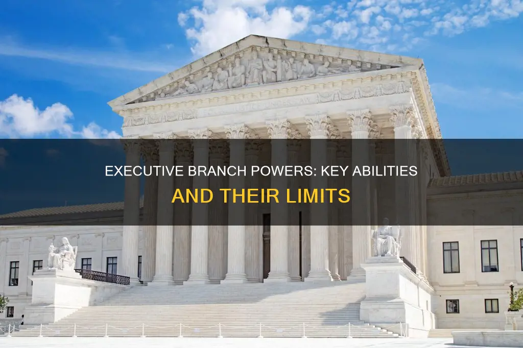 what are the key powers of the executive branch