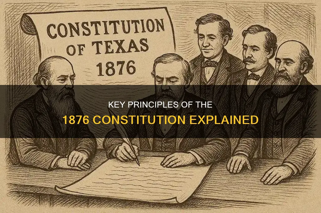 what are the key principles of the 1876 constitution