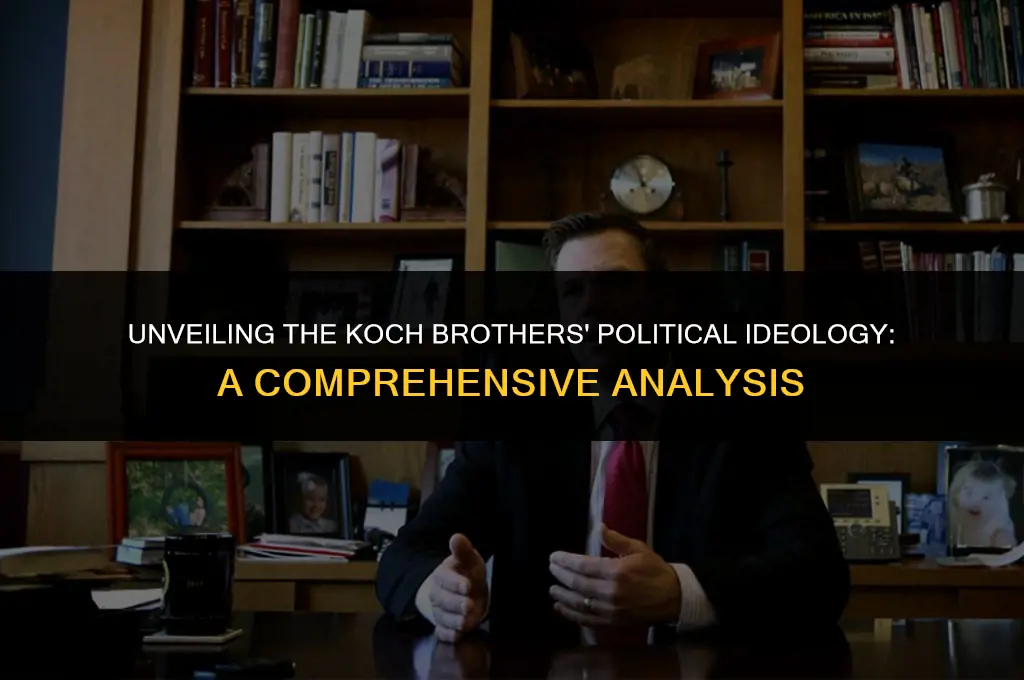 what are the koch brothers political views