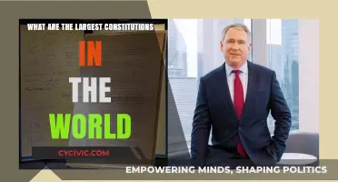 Largest Constitutions: A Global Overview