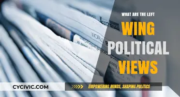 Exploring the Spectrum: Understanding Left-Wing Political Perspectives