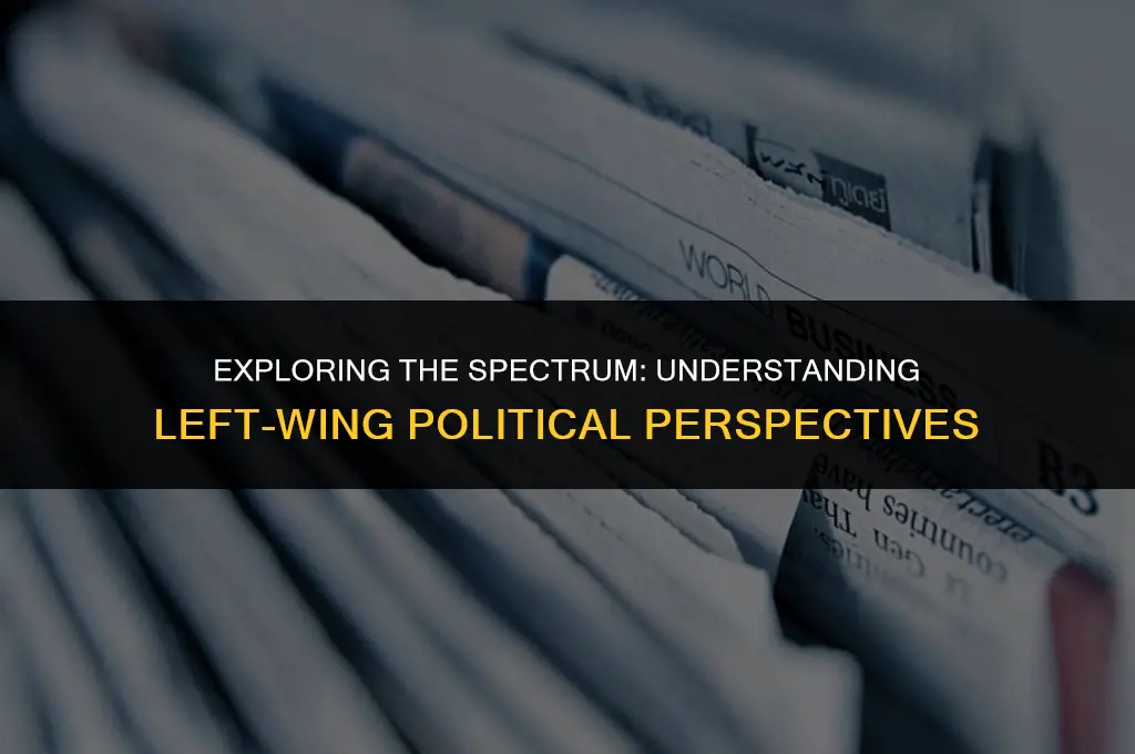 what are the left wing political views