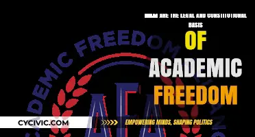 Academic Freedom: Legal and Constitutional Perspectives