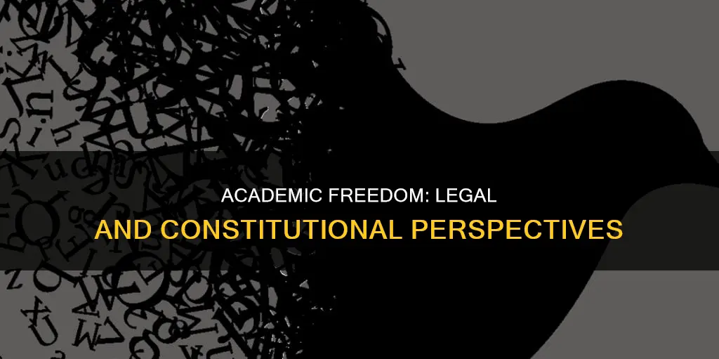 what are the legal and constitutional basis of academic freedom