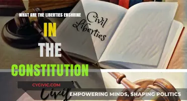 The Constitution: Our Liberties and Freedoms