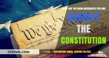 Constitution: Pros, Cons, and the Big Debate