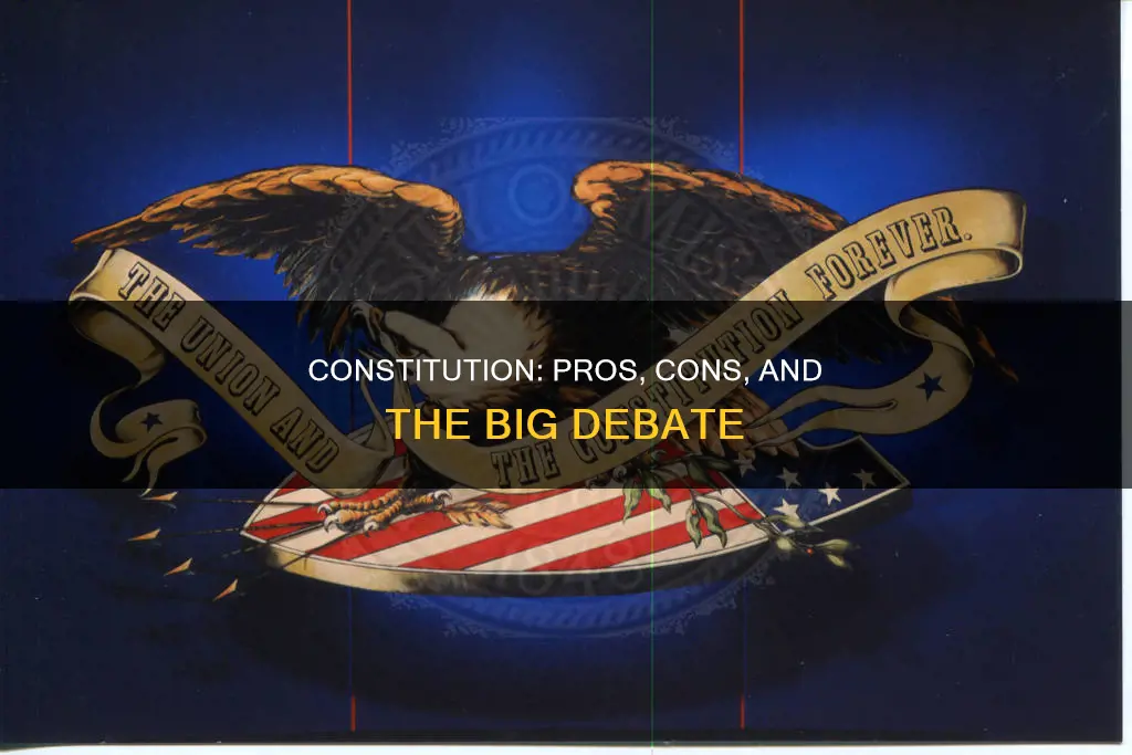 what are the main arguments for and against the constitution