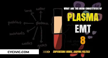 Key Plasma EMT-8 Components