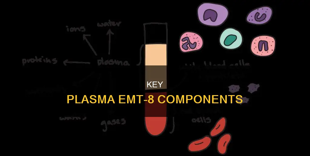 what are the main constitutes of plasma emt 8