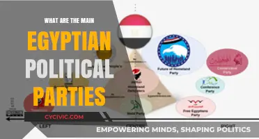 Exploring Egypt's Political Landscape: Key Parties and Their Influence