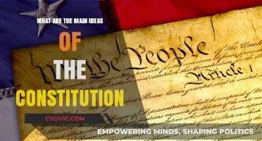 Foundations of Freedom: Constitution's Core Principles