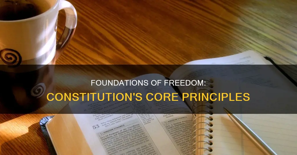 what are the main ideas of the constitution