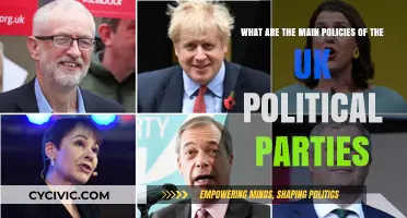 UK Political Parties: Key Policies and Their Core Principles Explained