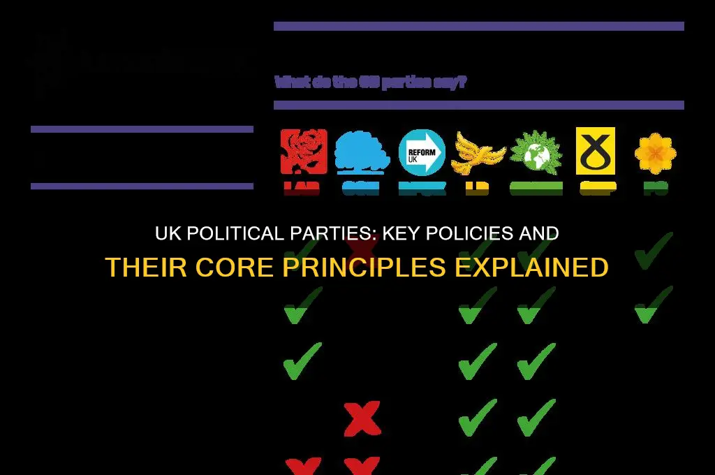 what are the main policies of the uk political parties