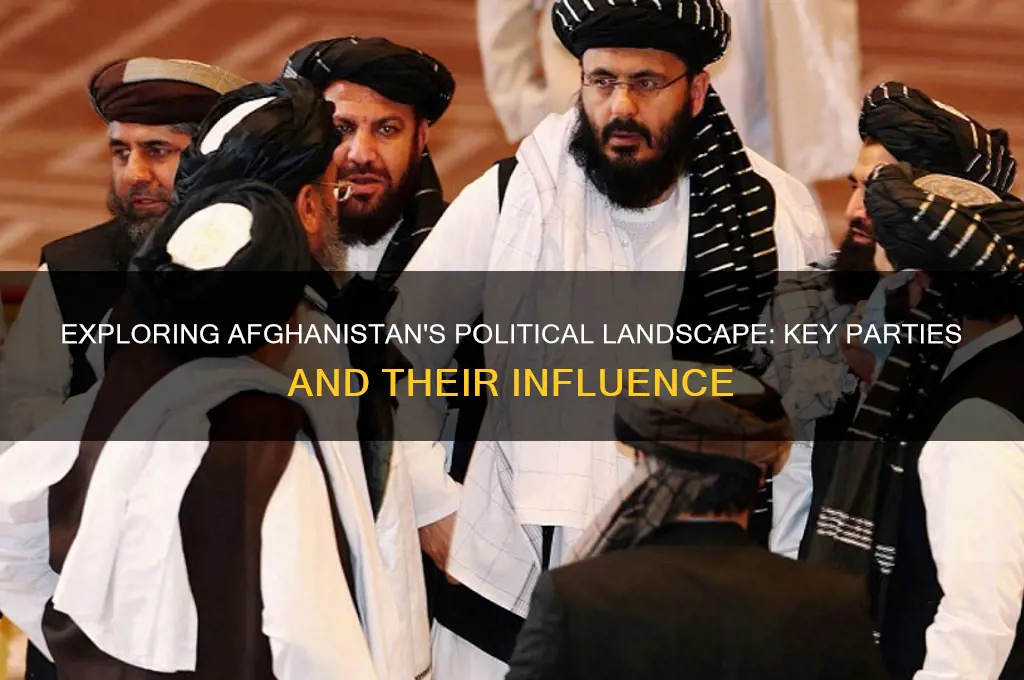 what are the main political parties in afghanistan